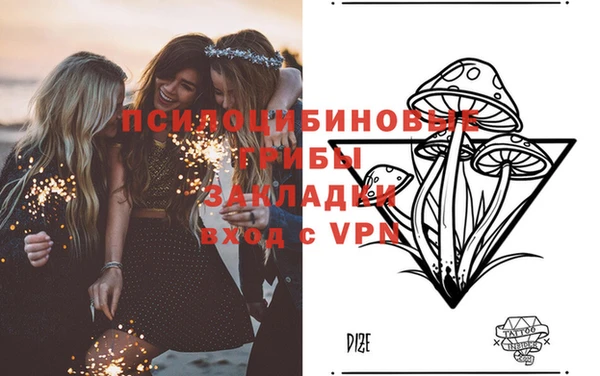 PSILOCYBIN Инсар