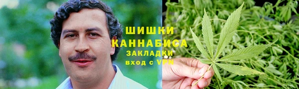 PSILOCYBIN Инсар