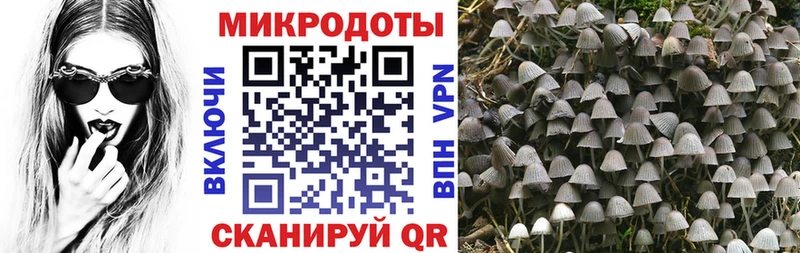 Псилоцибиновые грибы Magic Shrooms  Купить где  Брюховецкая 